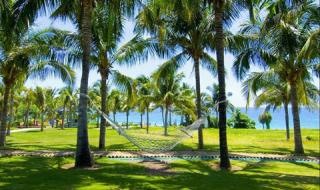 三亚南山文化旅游区 三亚南山文化旅游区